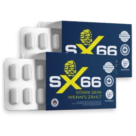 SX66 Verkaufsschlager 2×