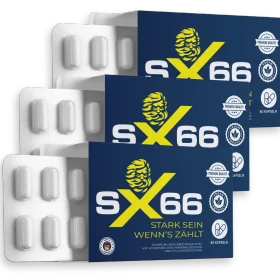 SX66 Original Verpackung